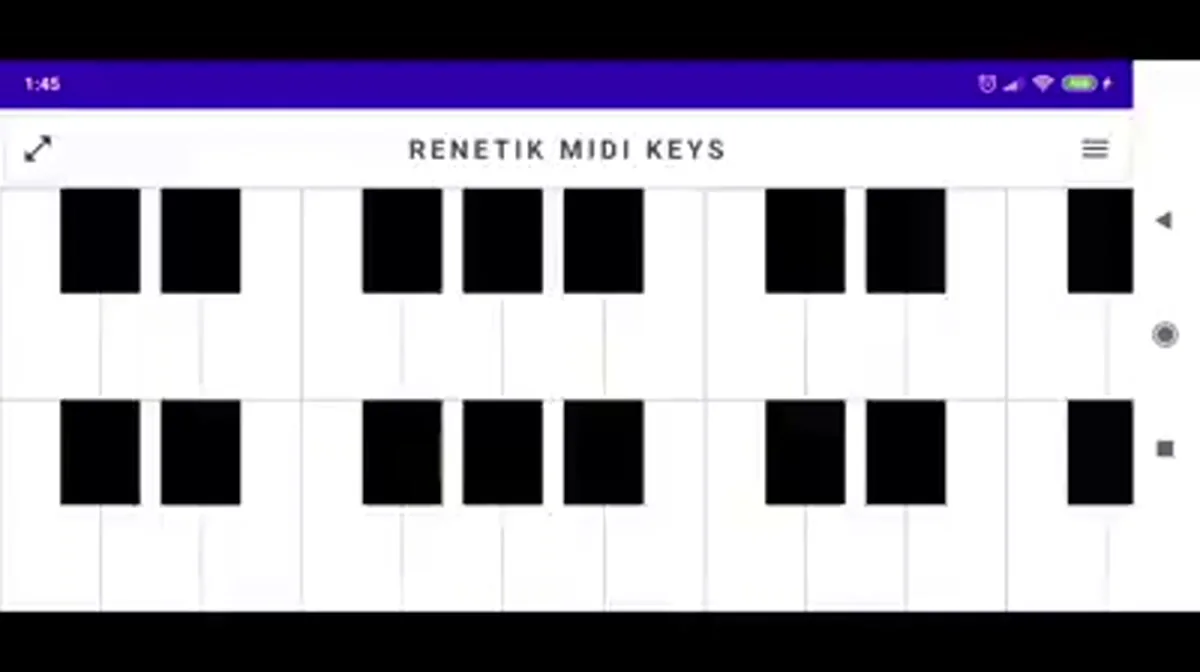 Renetik Music Apps, imagen del proyecto 12